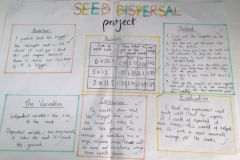 1_Seed-Dispersal